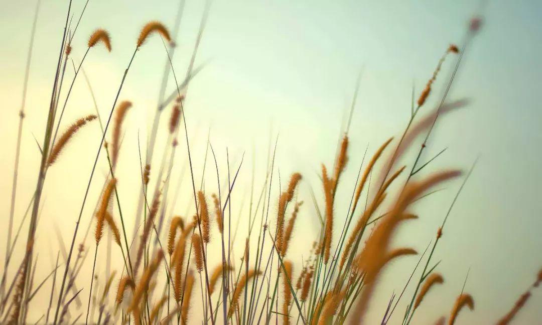 中国教会是到了该省思的时候了!  第12张 中国教会是到了该省思的时候了!  第12张