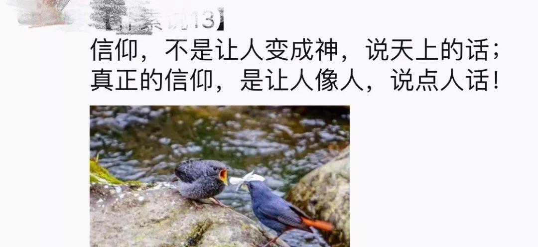 警惕，别中了心灵鸡汤的毒！