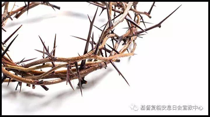 六千年等待,只为此刻看你一眼!  第2张 六千年等待,只为此刻看你一眼!  第2张