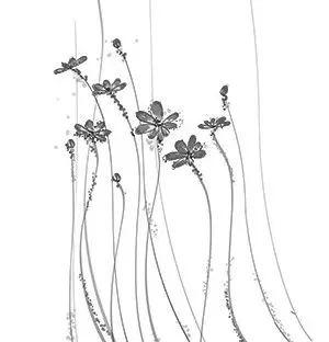 有信仰的人生不一样！[修订版]