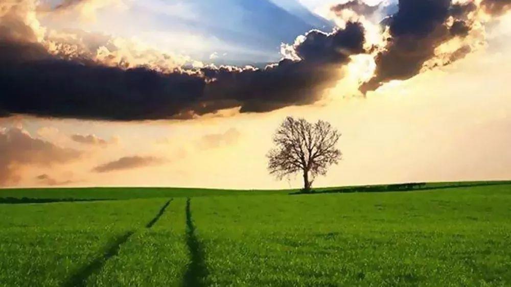 中国教会是到了该省思的时候了!  第11张 中国教会是到了该省思的时候了!  第11张