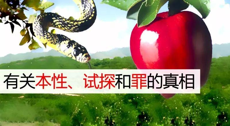 有关本性、试探和罪的真相  第3张