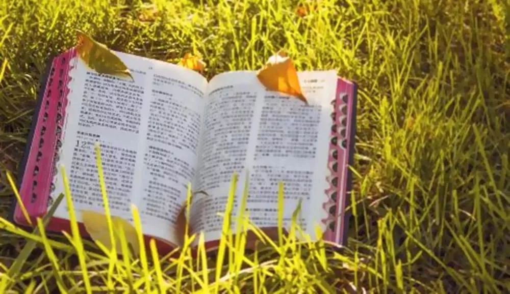 中国教会是到了该省思的时候了!  第10张 中国教会是到了该省思的时候了!  第10张